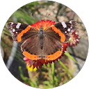 Profilbild von „Martina S.“